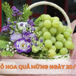 hình ảnh_2024-12-20_231238175